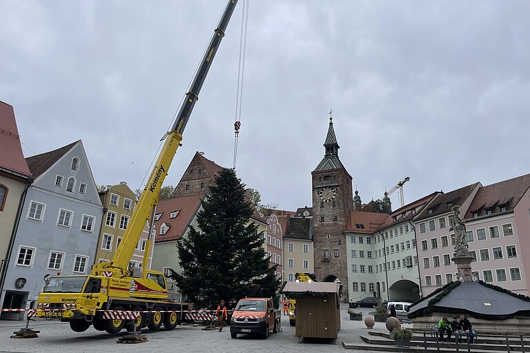 Der Christbaum 2023 am Hauptplatz steht.