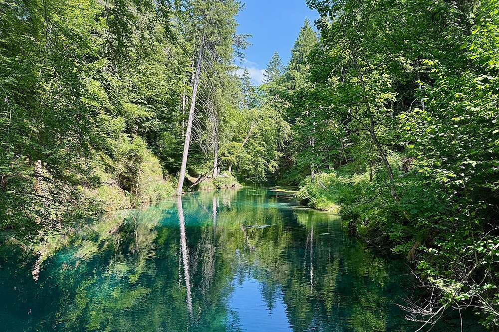 Türkise Lagune im Wildpark in Landsberg am Lech mit klarem Wasser spiegelt dichten grünen Wald und blauen Himmel wider – malerischer versteckter Teich umgeben von Bäumen und Farnen.