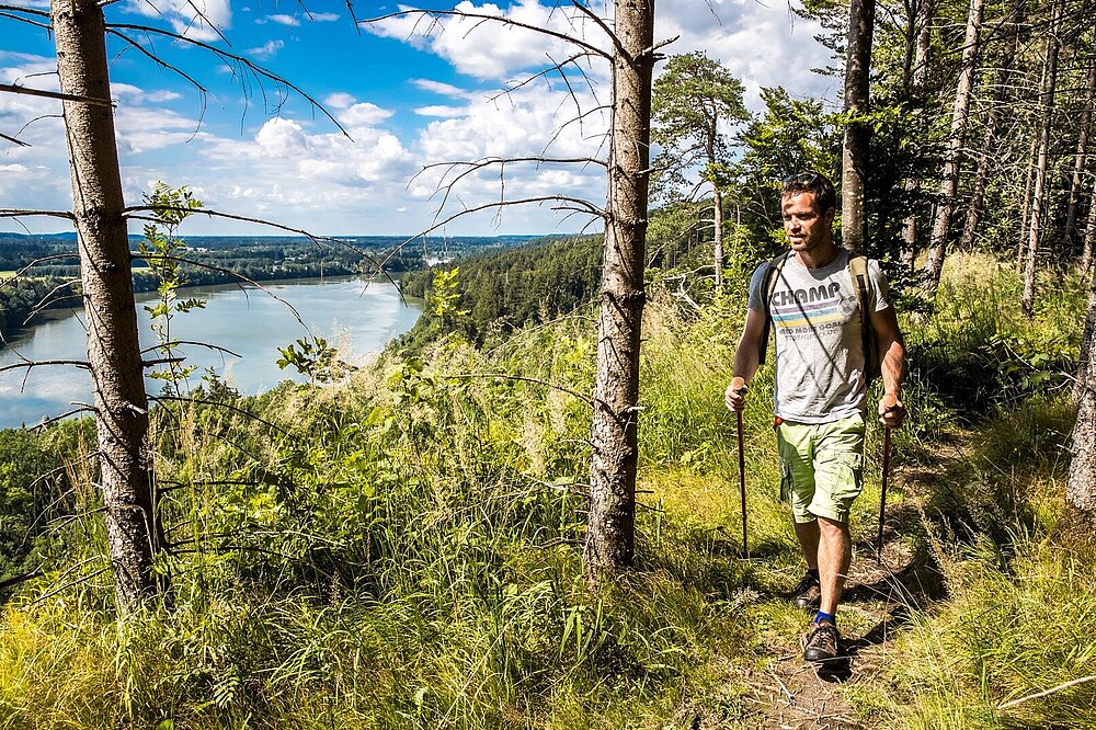 Junger Mann mit Trekkingstöcken wandert in Landsberg am Lech bei sonnigem Wetter auf einem Pfad durch Wiesen und Fichten, mit Panoramablick auf einen See und Hügel im Hintergrund.