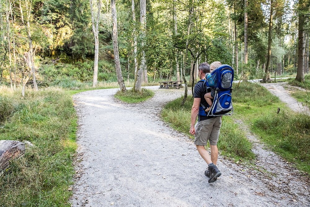 Vater mit Trage-Rucksack und Kleinkind wandert bei gutem Wetter auf einem Schotterweg durch Wald und Wiese im Wildpark Landsberg, Picknicktisch im Hintergrund.