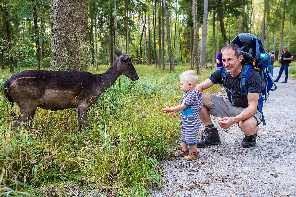 Familie & Reh im Wildpark