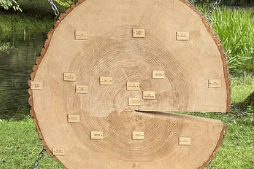 Eine große, an Ketten aufgehängte Baumscheibe, auf deren Jahresringen kleine Holzschildchen mit historischen Jahreszahlen als eine Art Zeitstrahl befestigt sind. Im Hintergrund ist ein Gewässer und grüne Natur zu sehen.